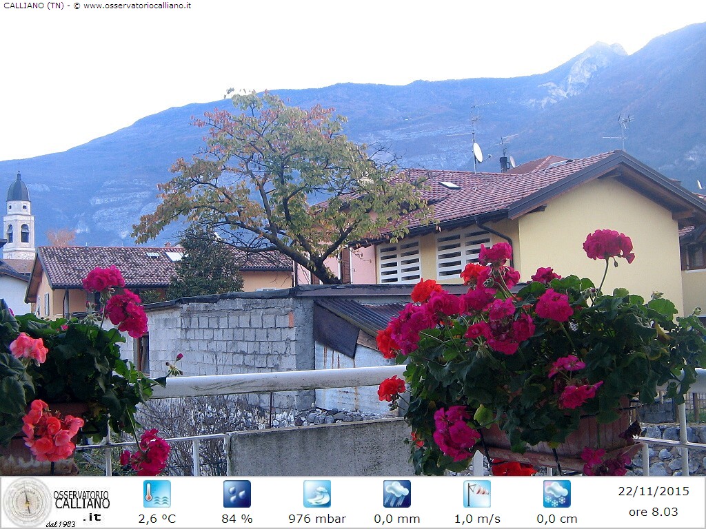 clic per visualizzare