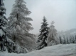 clic per visualizzare le foto